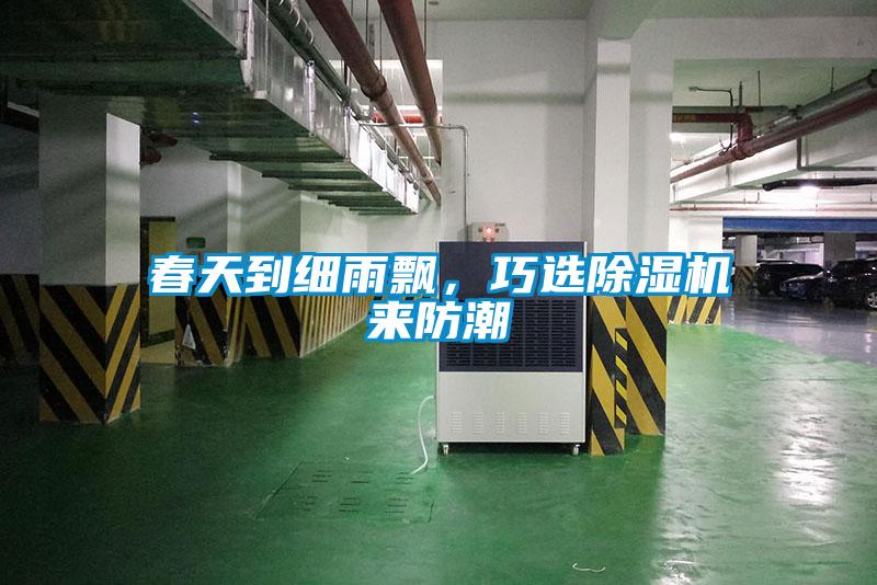 春天到細雨飄，巧選除濕機來防潮