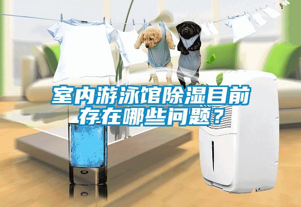 室內(nèi)游泳館除濕目前存在哪些問題？