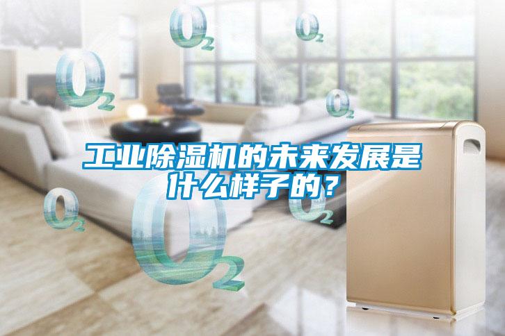 工業(yè)除濕機(jī)的未來發(fā)展是什么樣子的？