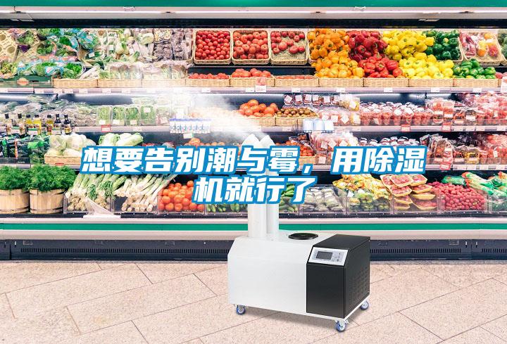 想要告別潮與霉，用除濕機(jī)就行了