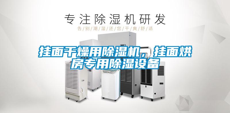 掛面干燥用除濕機，掛面烘房專用除濕設備