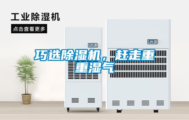 巧選除濕機，趕走重重濕氣