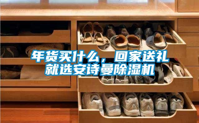 年貨買什么，回家送禮就選安詩曼除濕機(jī)