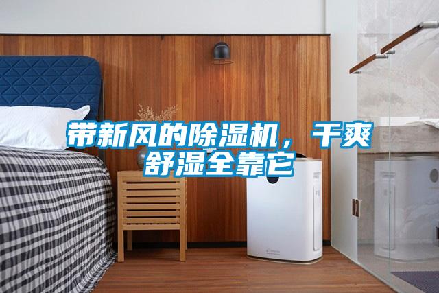 帶新風的除濕機，干爽舒濕全靠它