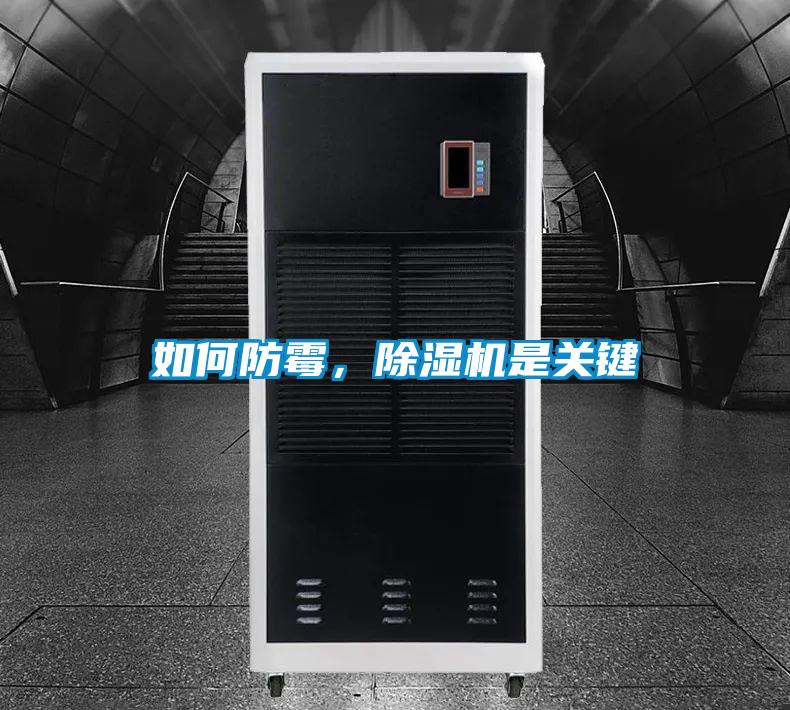 如何防霉，除濕機是關(guān)鍵