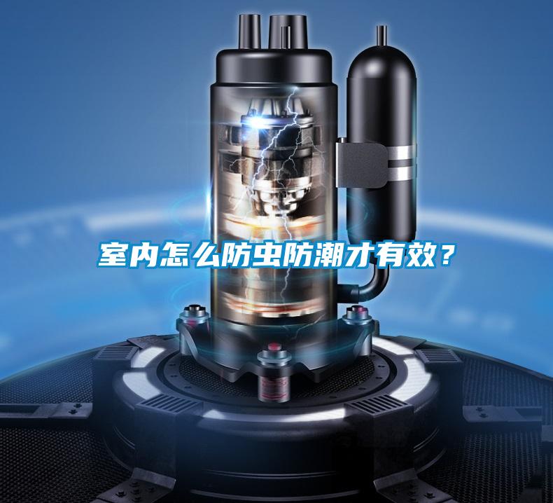 室內怎么防蟲防潮才有效？