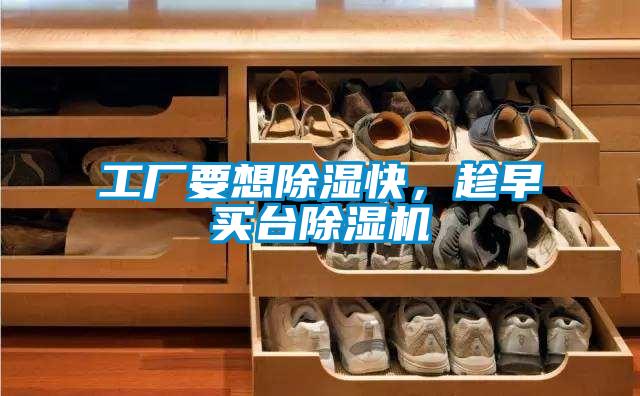 工廠要想除濕快，趁早買臺除濕機