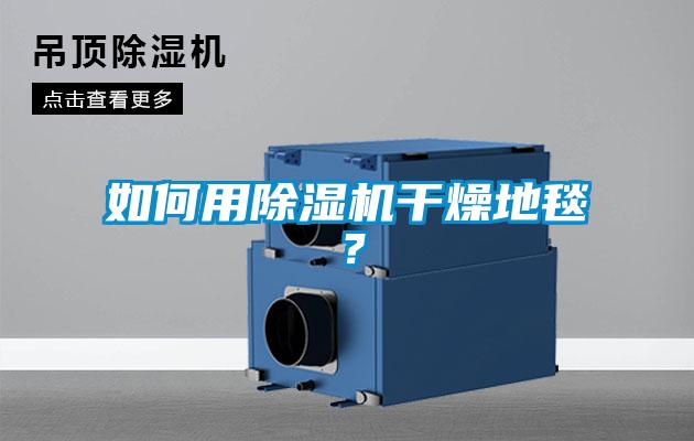 如何用除濕機干燥地毯？