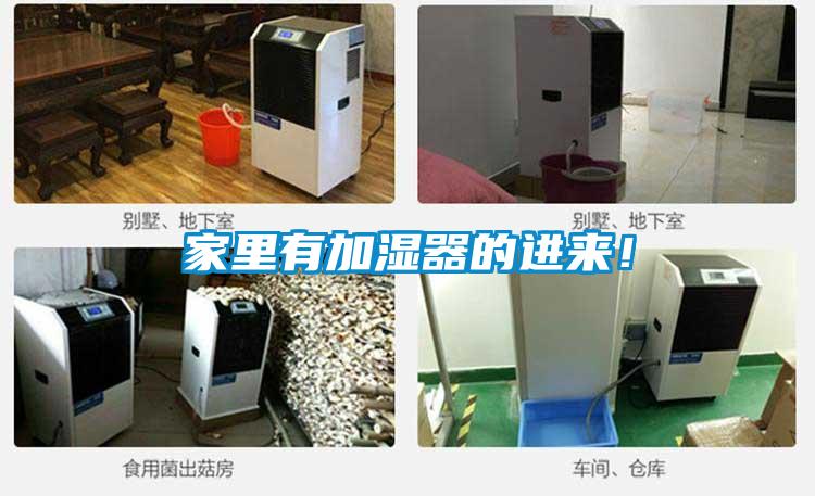 家里有加濕器的進(jìn)來！