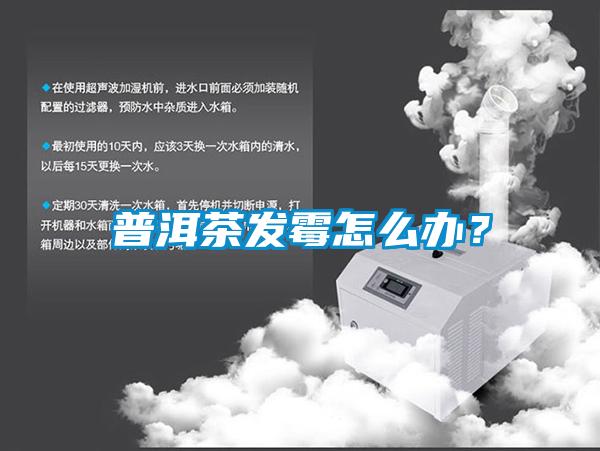 普洱茶發霉怎么辦？