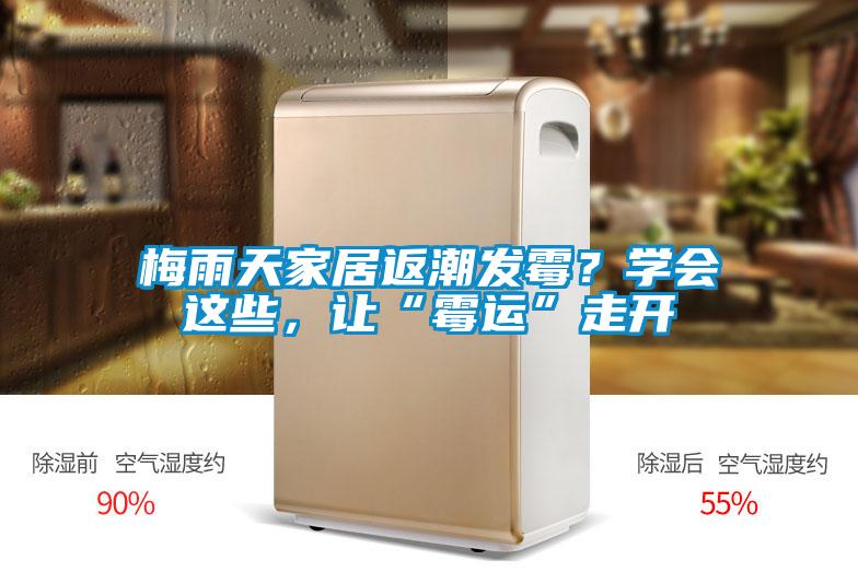 梅雨天家居返潮發(fā)霉？學(xué)會這些，讓“霉運(yùn)”走開