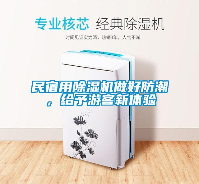 民宿用除濕機做好防潮，給予游客新體驗