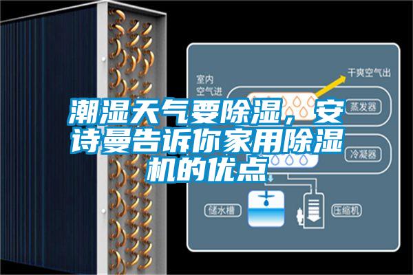 潮濕天氣要除濕，安詩曼告訴你家用除濕機的優點