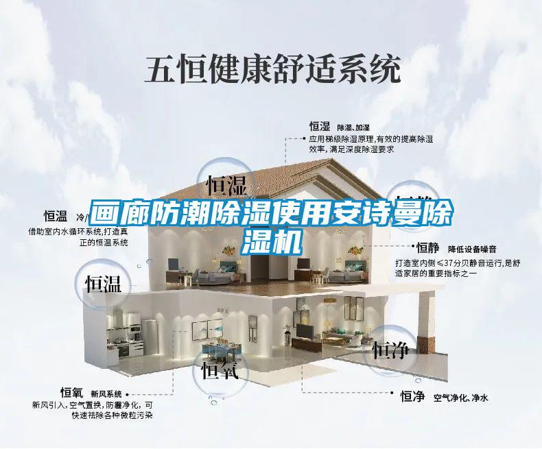 畫廊防潮除濕使用安詩曼除濕機(jī)