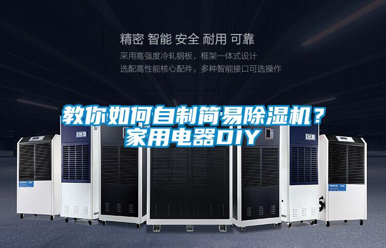 教你如何自制簡易除濕機？家用電器DIY