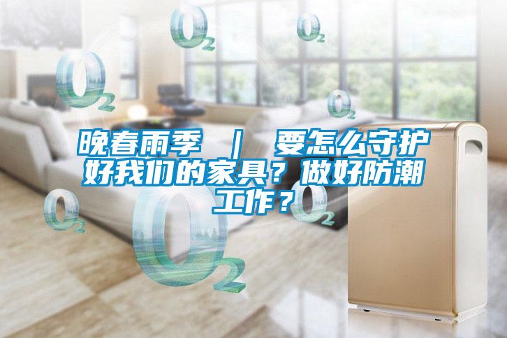 晚春雨季 ｜ 要怎么守護好我們的家具？做好防潮工作？