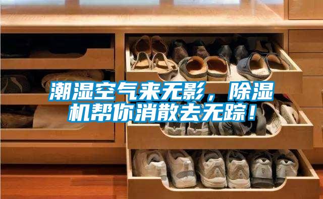 潮濕空氣來無影，除濕機幫你消散去無蹤！