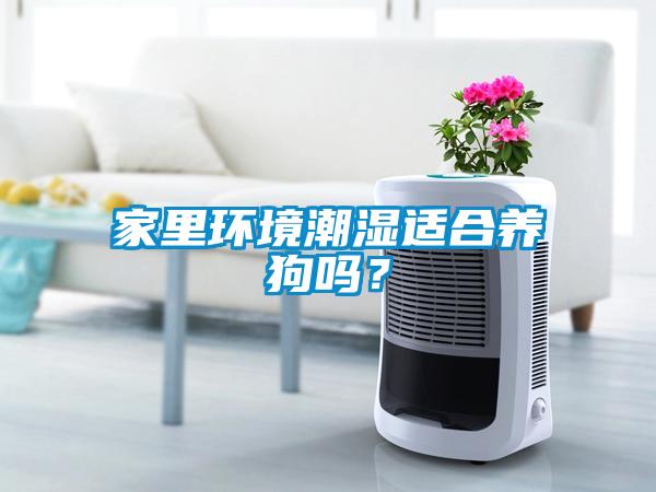 家里環境潮濕適合養狗嗎？