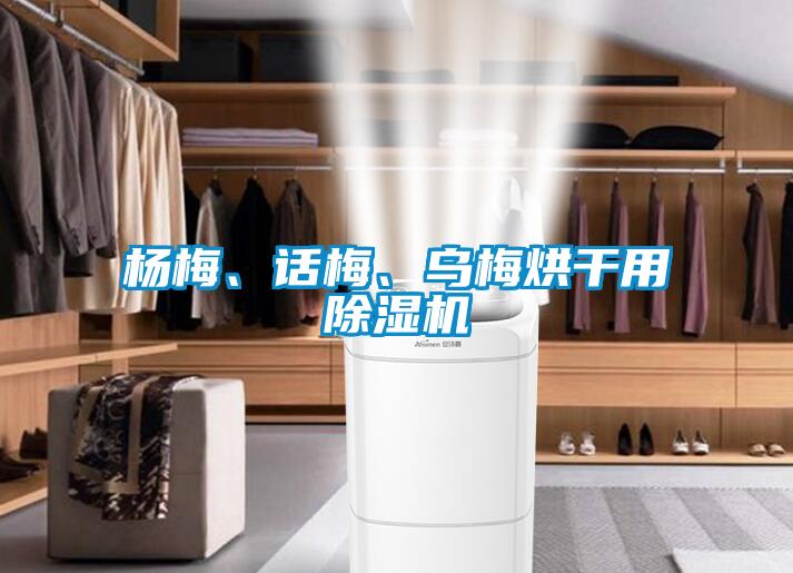楊梅、話梅、烏梅烘干用除濕機