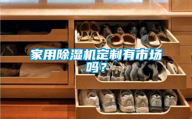 家用除濕機定制有市場嗎？