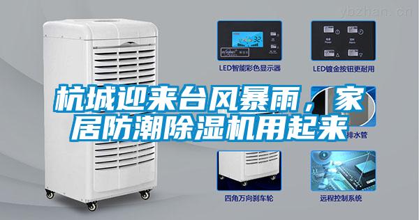 杭城迎來臺風(fēng)暴雨，家居防潮除濕機用起來