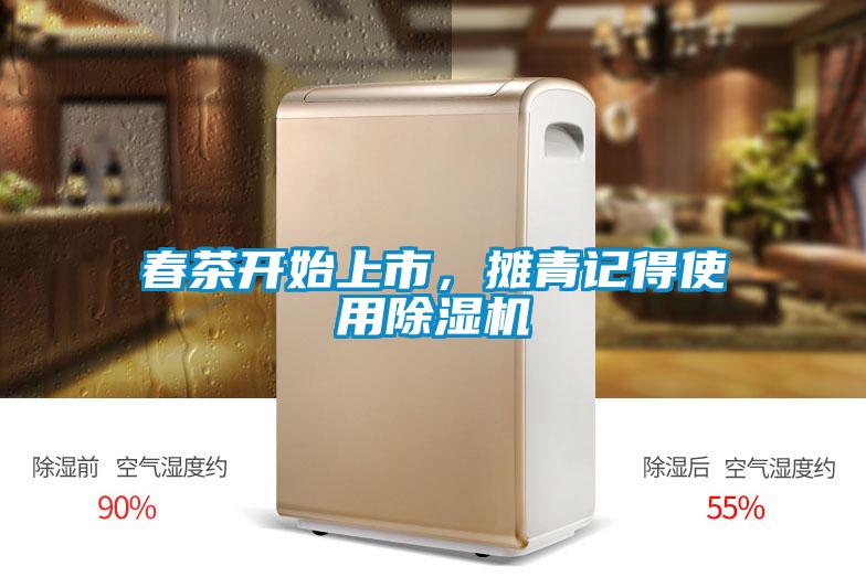 春茶開始上市，攤青記得使用除濕機