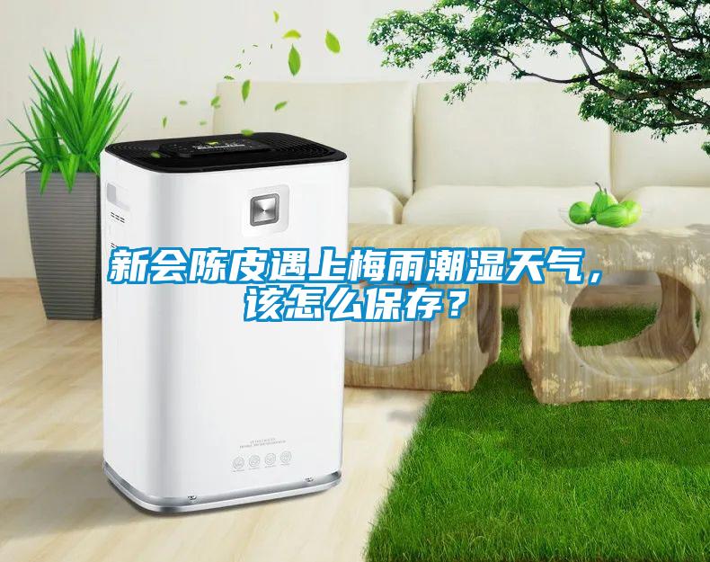 新會(huì)陳皮遇上梅雨潮濕天氣，該怎么保存？