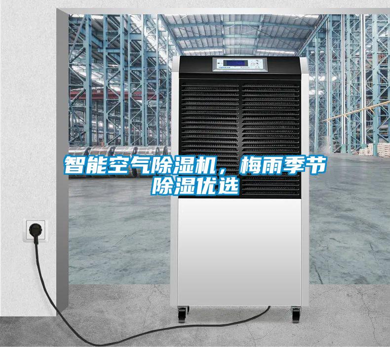 智能空氣除濕機，梅雨季節除濕優選