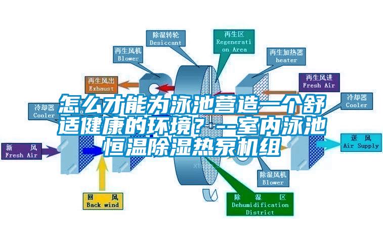 怎么才能為泳池營造一個舒適健康的環境？--室內泳池恒溫除濕熱泵機組