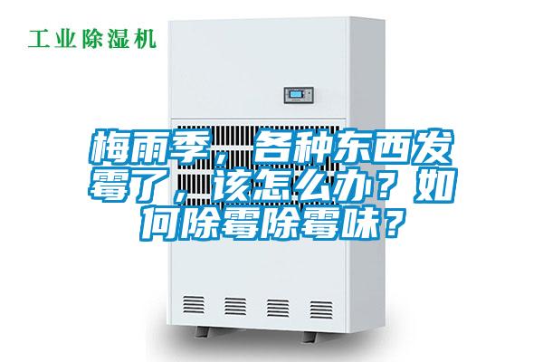 梅雨季，各種東西發(fā)霉了，該怎么辦？如何除霉除霉味？