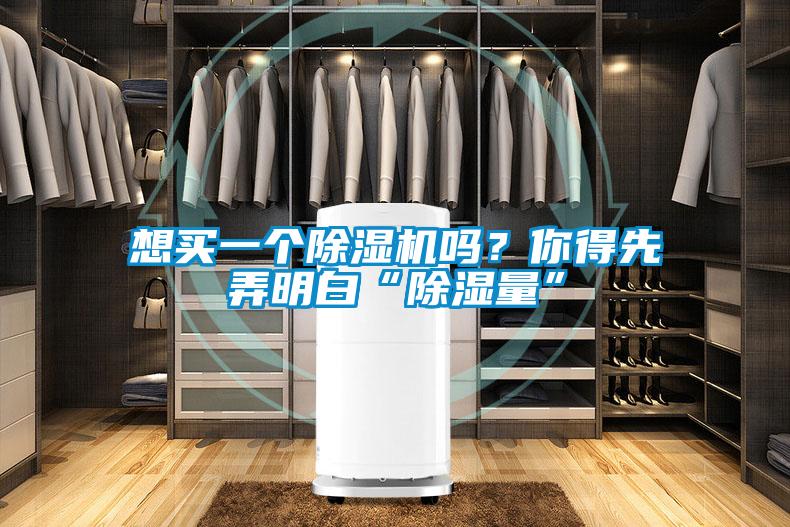 想買一個除濕機嗎？你得先弄明白“除濕量”