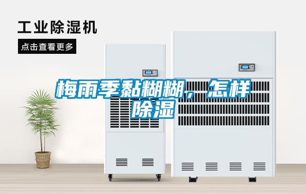 梅雨季黏糊糊，怎樣除濕
