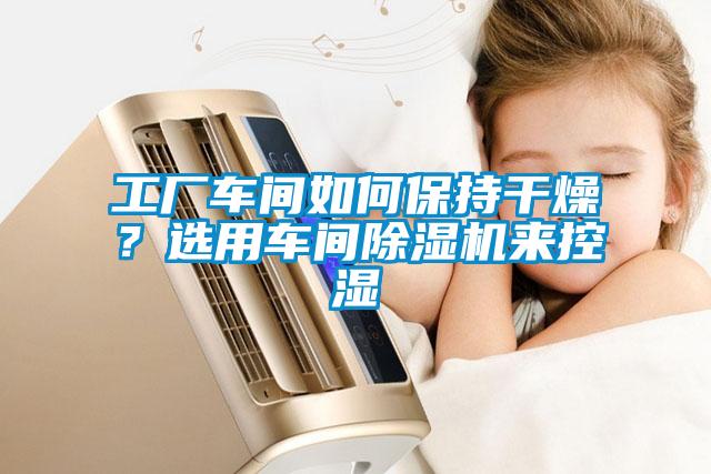 工廠車間如何保持干燥？選用車間除濕機(jī)來控濕