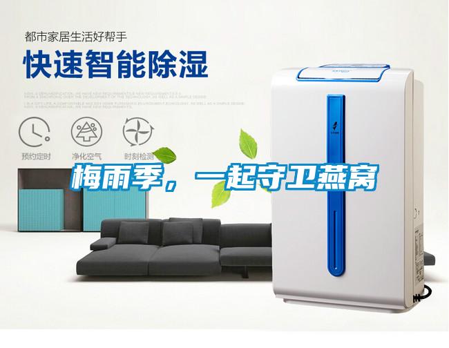 梅雨季，一起守衛燕窩