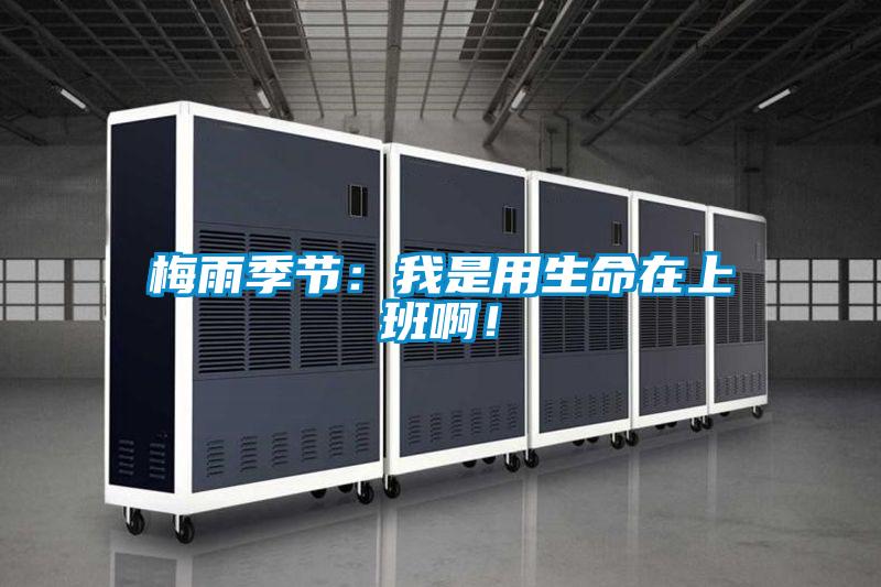 梅雨季節(jié)：我是用生命在上班??！