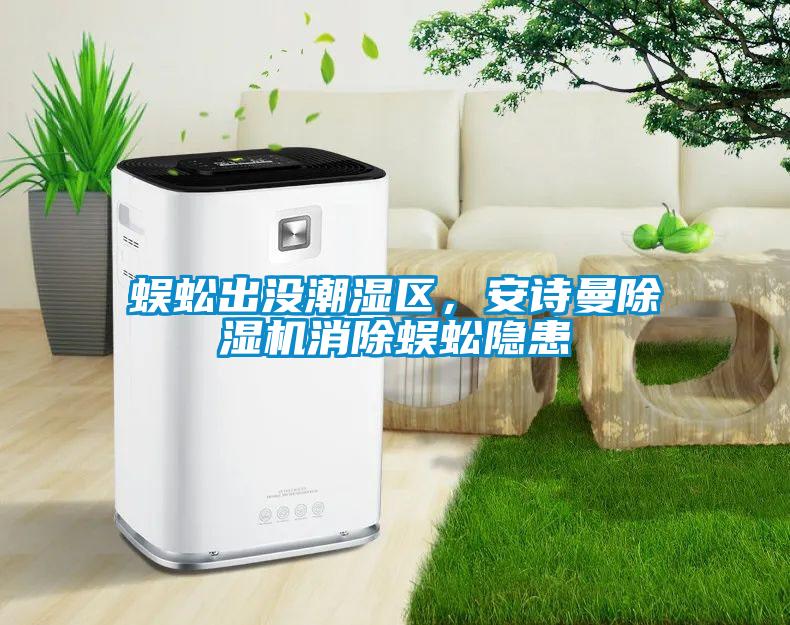 蜈蚣出沒潮濕區，安詩曼除濕機消除蜈蚣隱患