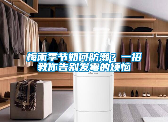 梅雨季節如何防潮？一招教你告別發霉的煩惱
