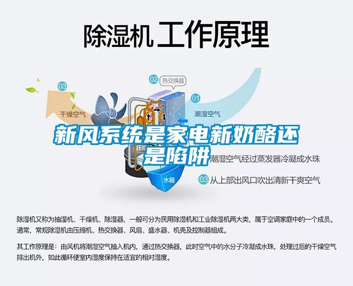 新風系統是家電新奶酪還是陷阱