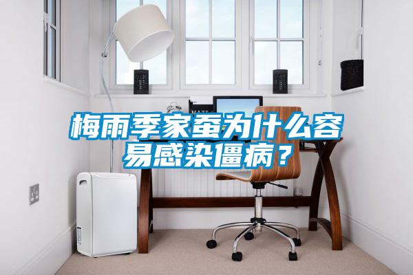梅雨季家蠶為什么容易感染僵?。?/></p>
<p style=