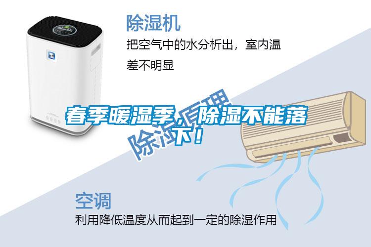 春季暖濕季，除濕不能落下！