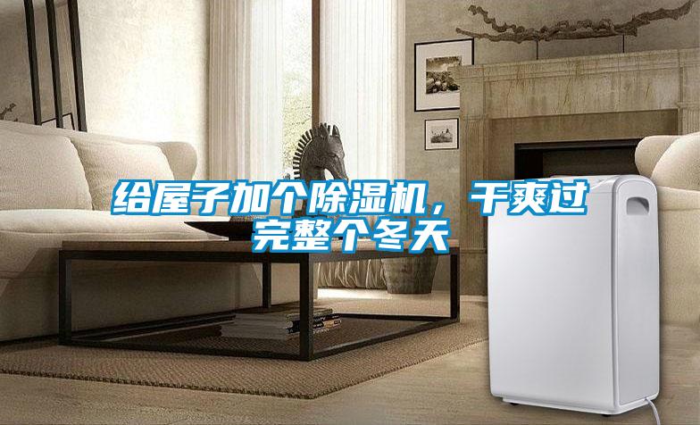 給屋子加個除濕機，干爽過完整個冬天