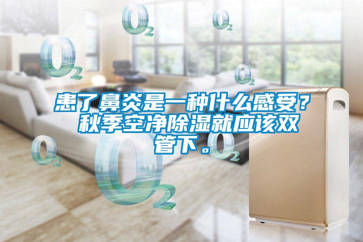 患了鼻炎是一種什么感受？ 秋季空凈除濕就應(yīng)該雙管下。