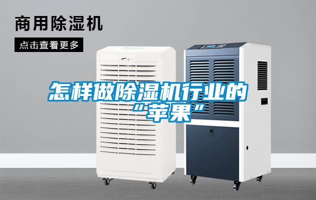 怎樣做除濕機行業的“蘋果”