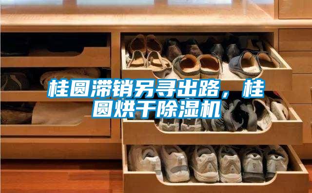 桂圓滯銷另尋出路，桂圓烘干除濕機
