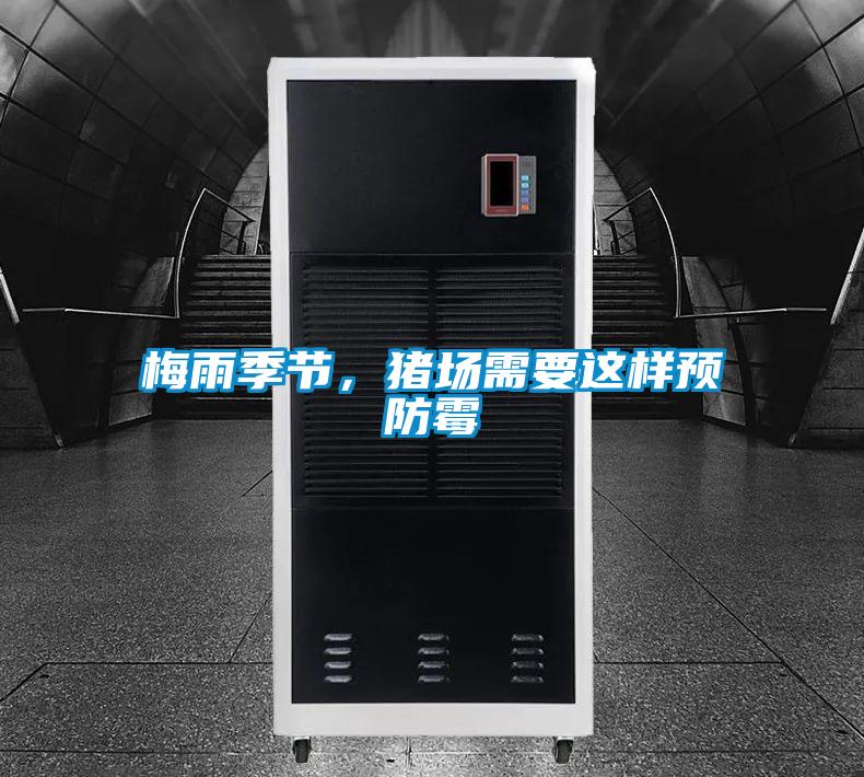 梅雨季節，豬場需要這樣預防霉