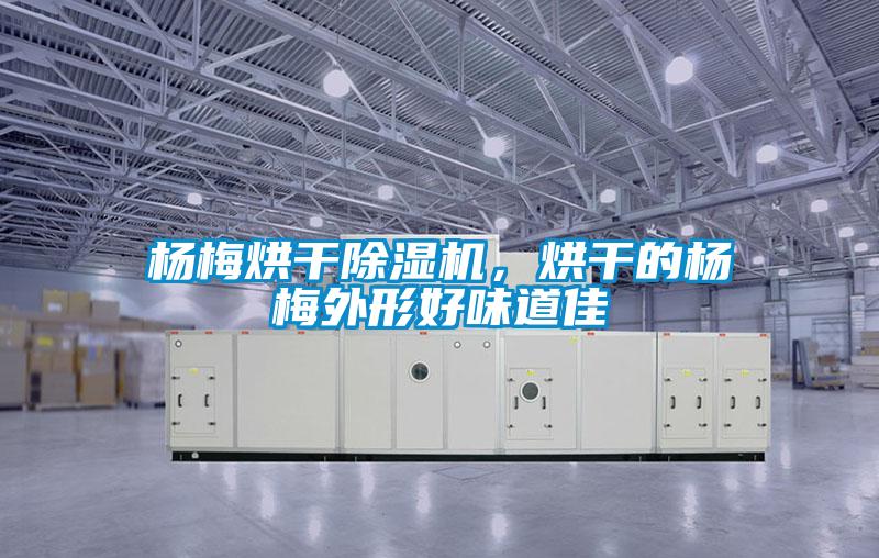 楊梅烘干除濕機，烘干的楊梅外形好味道佳