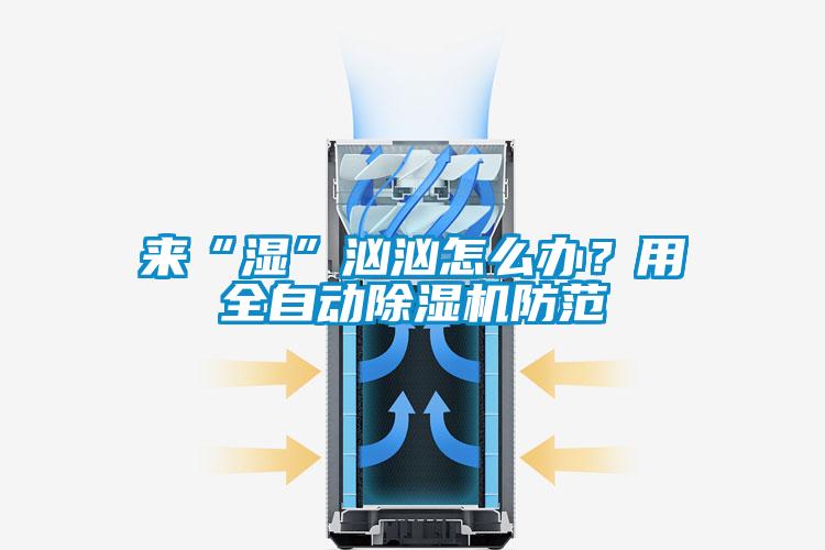 來“濕”洶洶怎么辦？用全自動除濕機防范