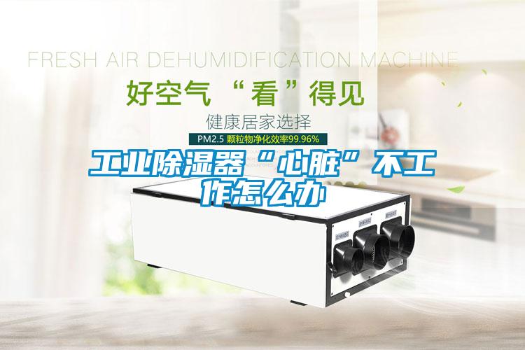 工業除濕器“心臟”不工作怎么辦