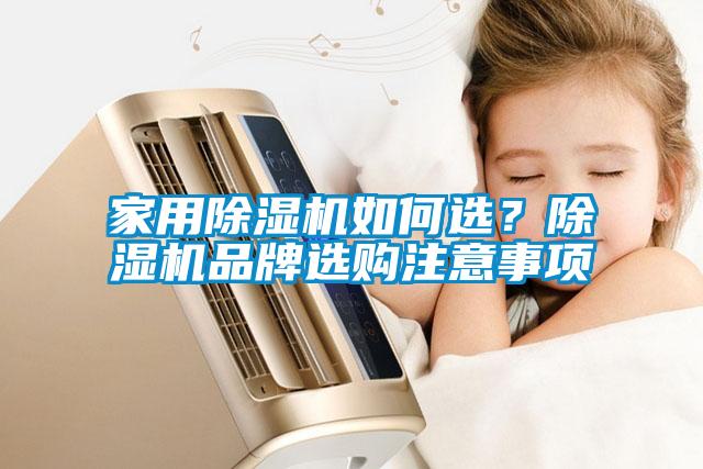 家用除濕機(jī)如何選？除濕機(jī)品牌選購注意事項