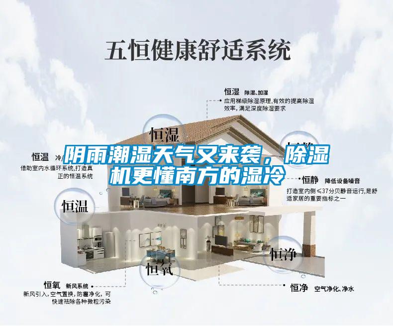 陰雨潮濕天氣又來襲，除濕機更懂南方的濕冷
